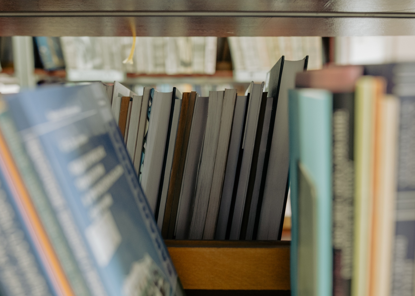 Estanterías de libros